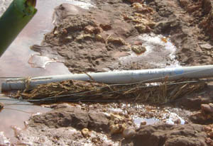 首页| 亚游集团ag8集团官方网站