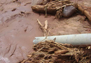 首页| 亚游集团ag8集团官方网站