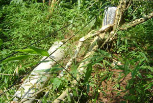 首页| 亚游集团ag8集团官方网站