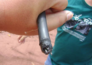 首页| 亚游集团ag8集团官方网站