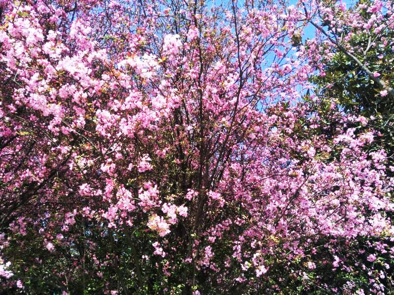 首页| 亚游集团ag8集团官方网站