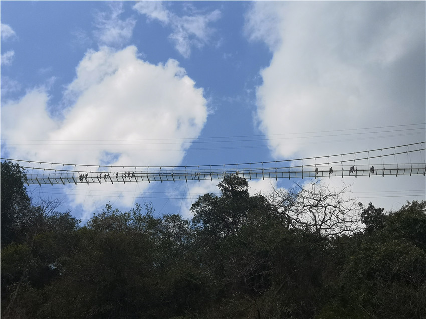 首页| 亚游集团ag8集团官方网站