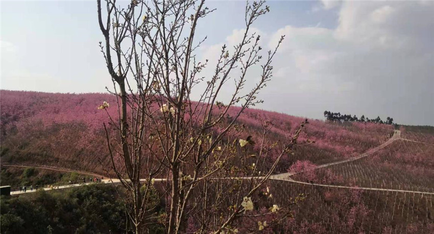 首页| 亚游集团ag8集团官方网站