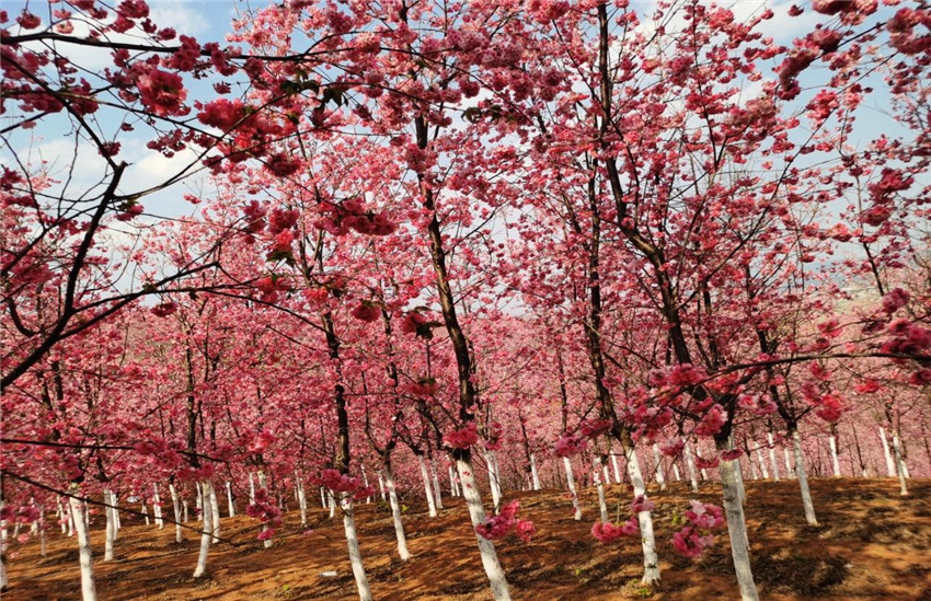 首页| 亚游集团ag8集团官方网站